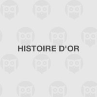 Histoire d'or