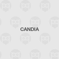 candia
