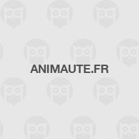 Animaute.fr