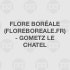 Flore Boréale (FLOREBOREALE.FR) - Gometz le Chatel