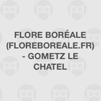 Flore Boréale (FLOREBOREALE.FR) - Gometz le Chatel