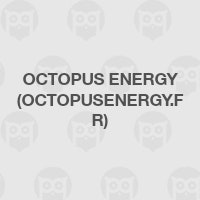 Octopus Energy (octopusenergy.fr)