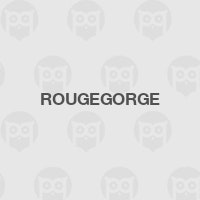 Rougegorge