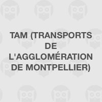 TaM (Transports de l'agglomération de Montpellier)